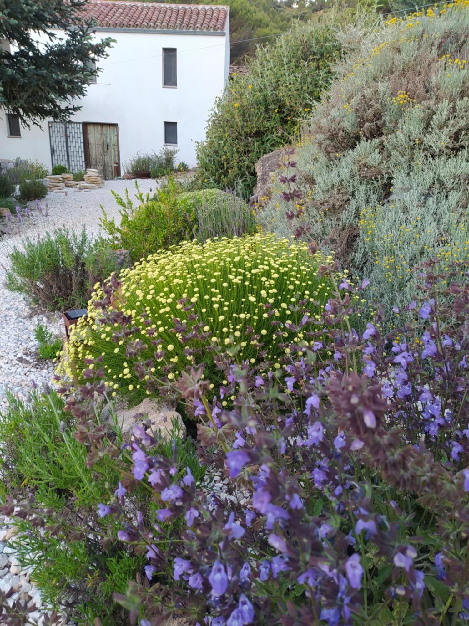 Landhaus Morenas Yunquera